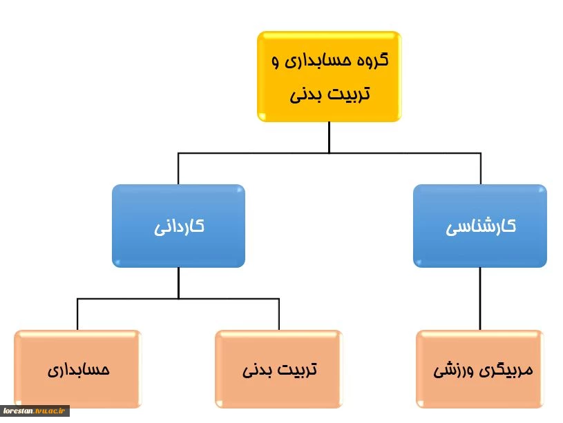 رشته ها و سرفصل دروس گروه حسابداری و تربیت بدنی 2