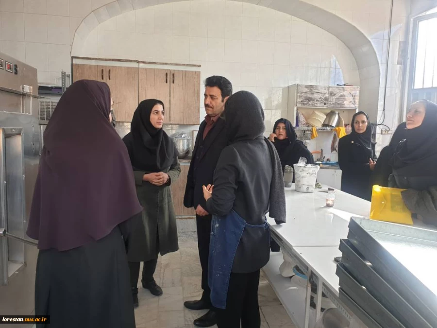 بازدید سرپرست دانشگاه ملی مهارت استان لرستان از آموزشکده دختران بروجرد 5