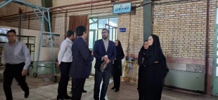 بازدید سرپرست معاونت پژوهش و فناوری دانشگاه لرستان و تیم همراه از دانشگاه ملی مهارت استان لرستان  7